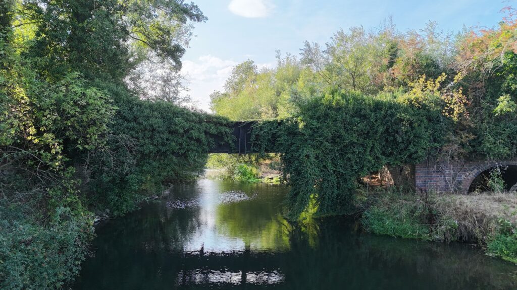 Aston Cantlow railway bridge crossing the River Alne, surrounded by dense vegetation